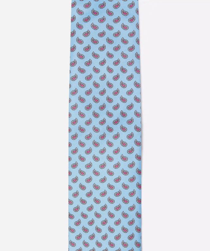 Blue & Pink Small Paisley Motif Silk Printed Tie